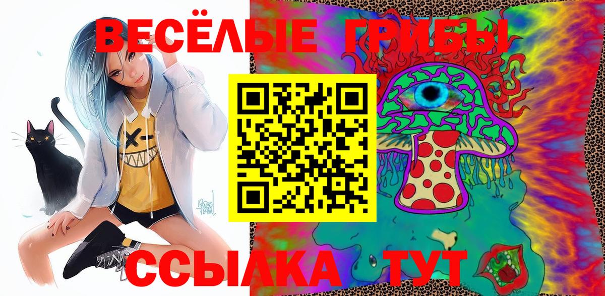 Галлюциногенные грибы Psilocybine cubensis  Вход с VPN  Назарово 