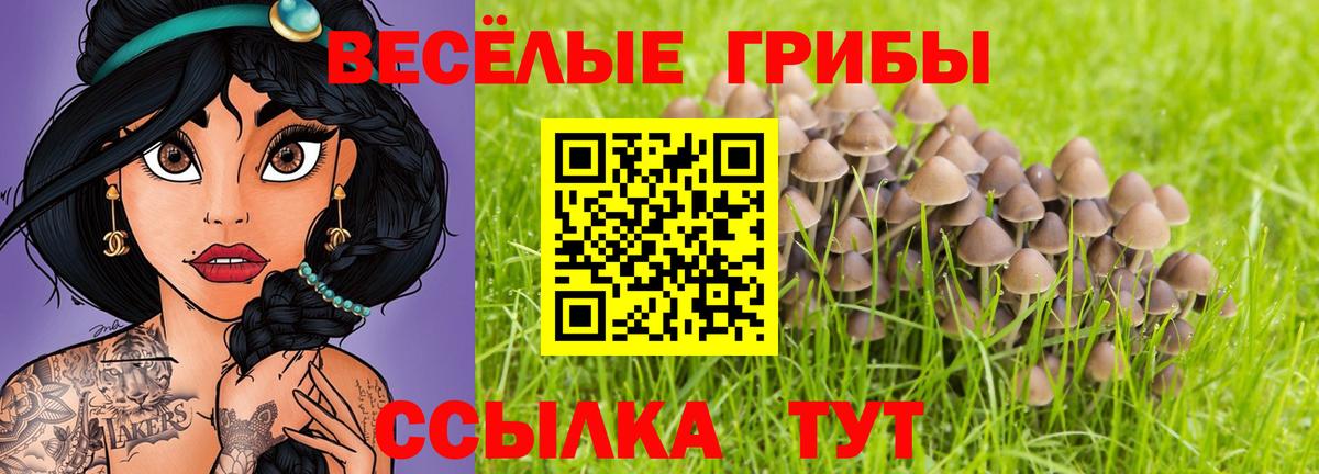 Псилоцибиновые грибы прущие грибы Назарово